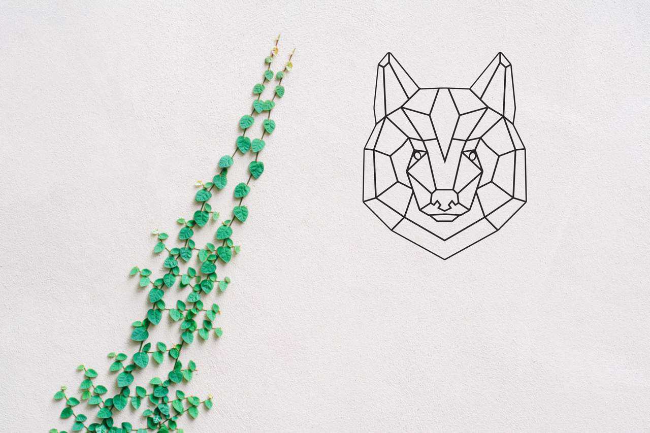 Niedźwiedź - obrazek 3