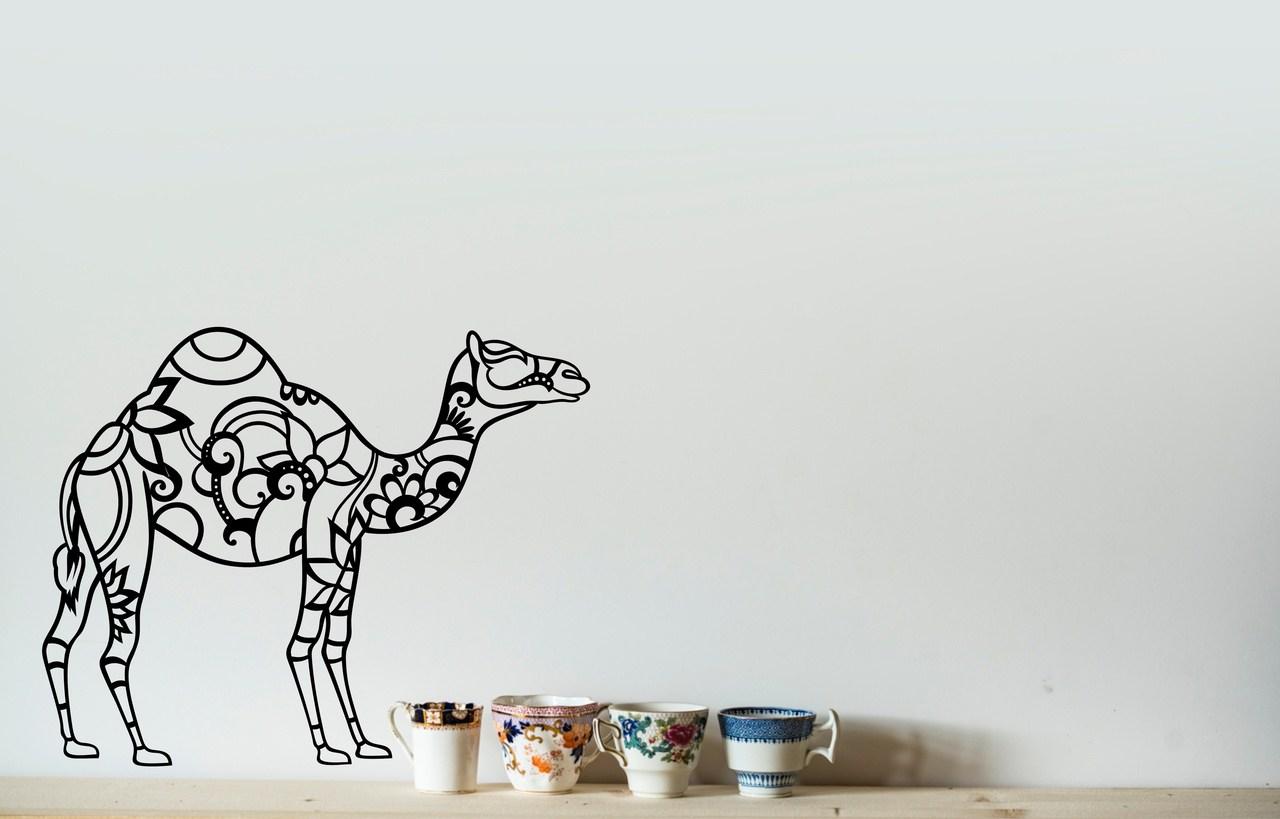 Wielbłąd - obrazek 2