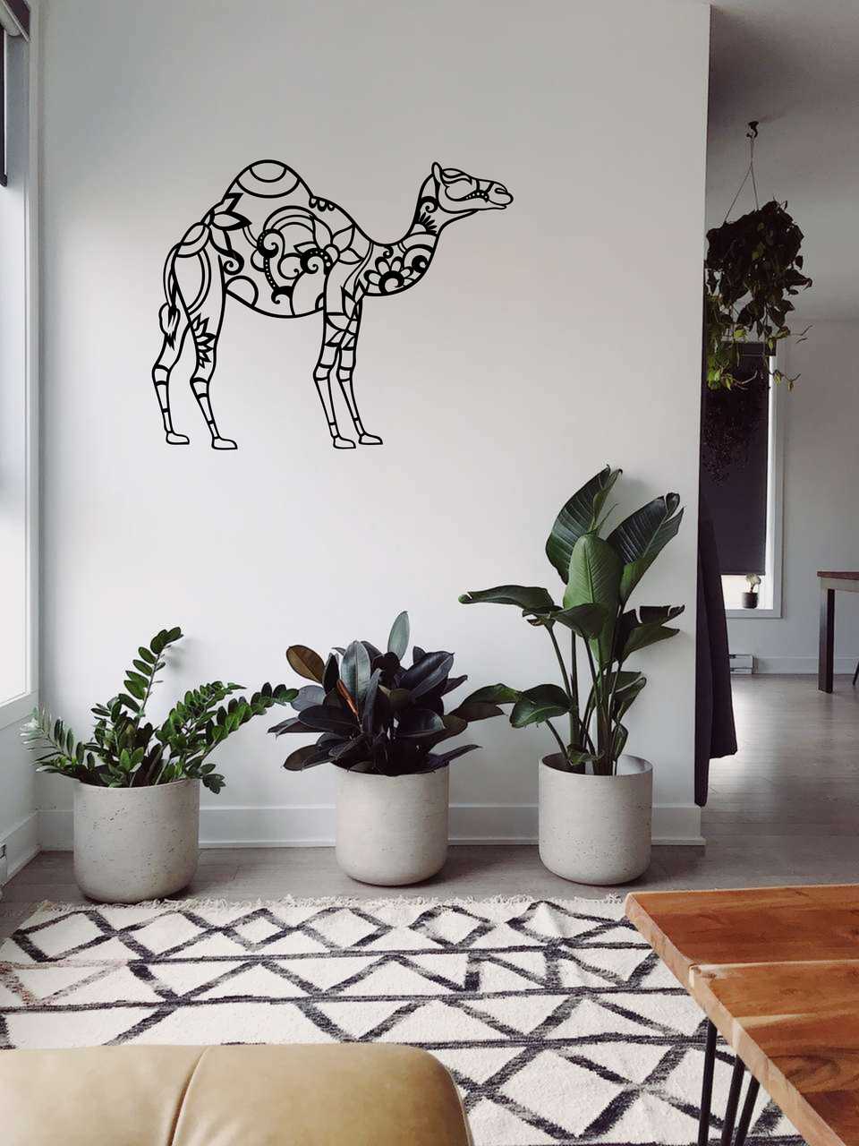 Wielbłąd - obrazek 3