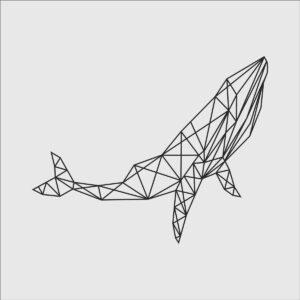 Wieloryb