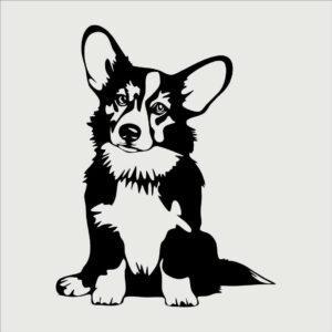 Corgi dog