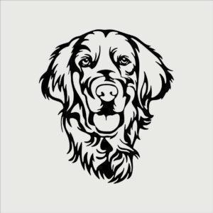 Golden dog