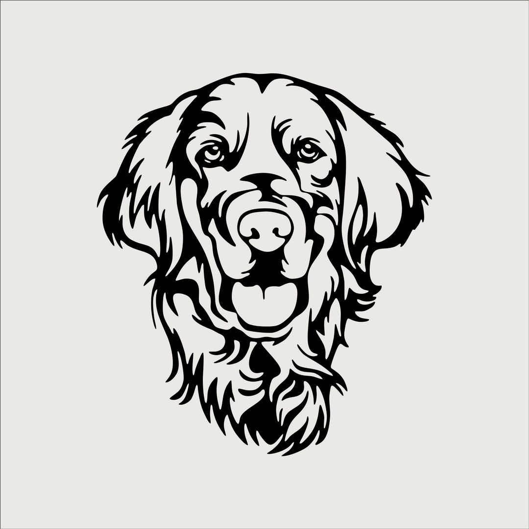 Golden dog