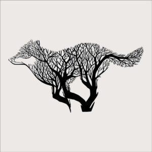 Biegnący wilk W0303